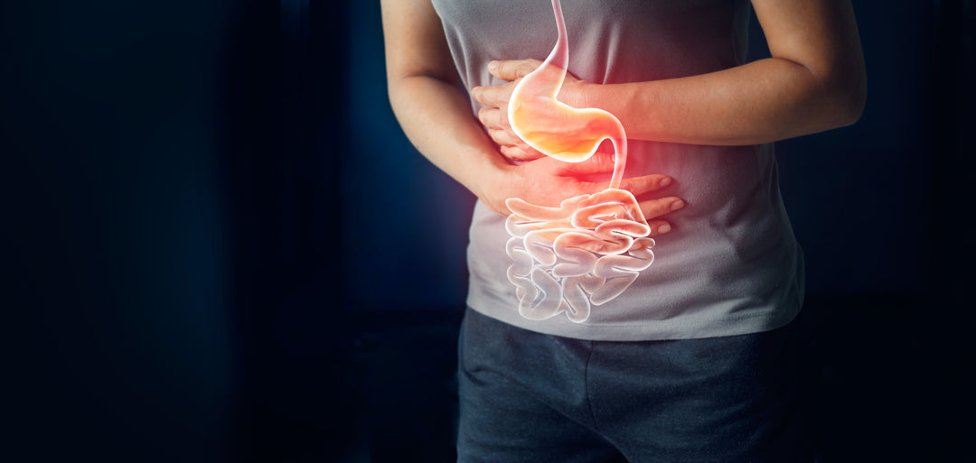 Can Probiotics Make You Feel Worse Before Better?