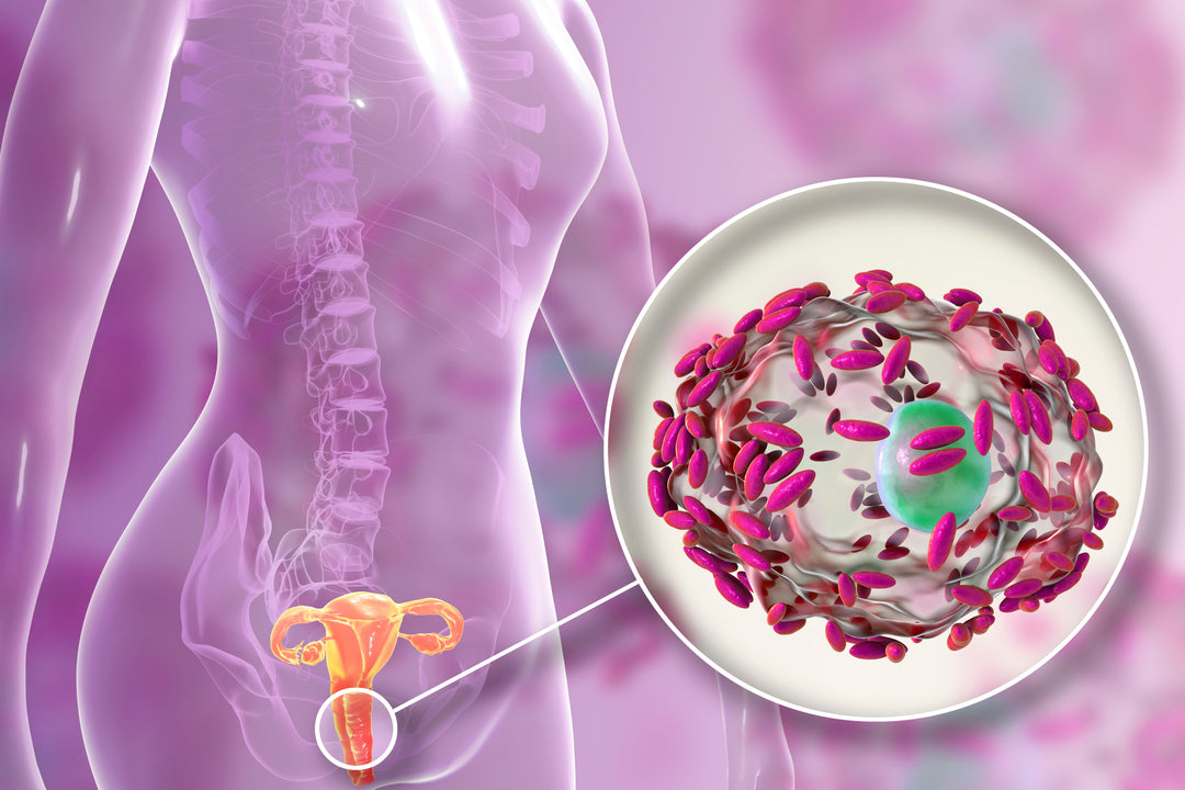 How Long Does It Take Probiotics To Work For BV?