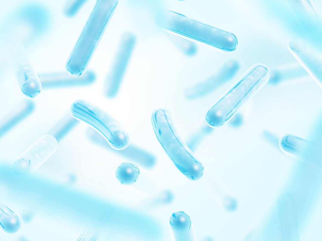 How Do You Get Lactobacillus?