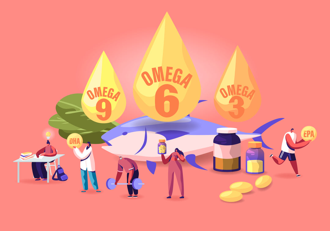 What Are The Differences Between Omega-3, 6 And 9?