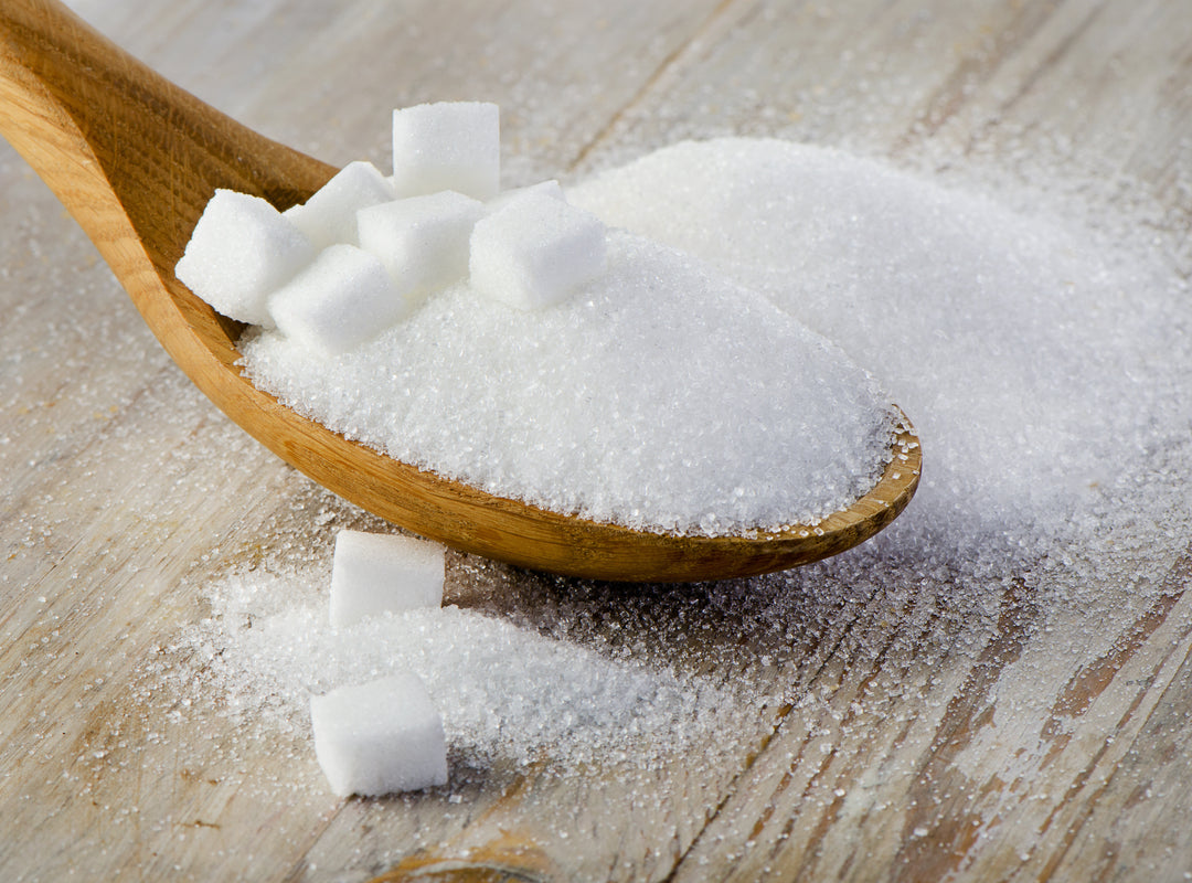 What Foods To Avoid While Taking Probiotics?