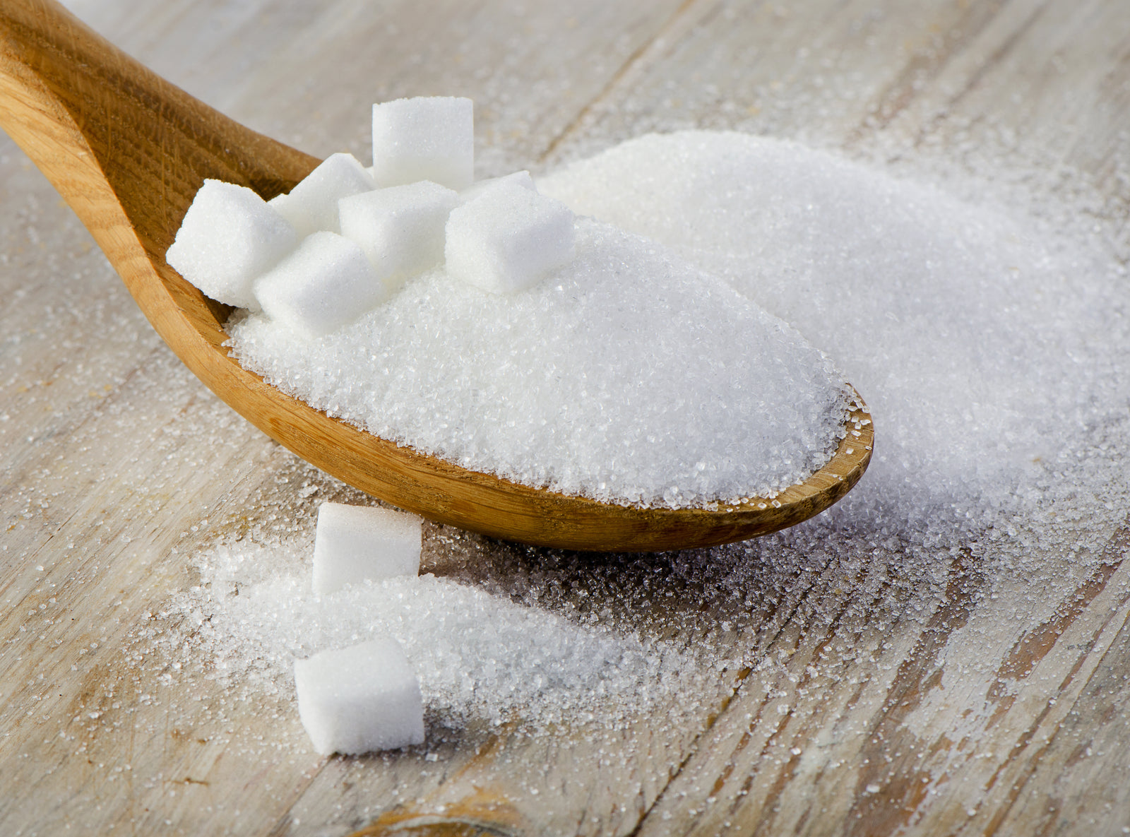 What Foods To Avoid While Taking Probiotics?