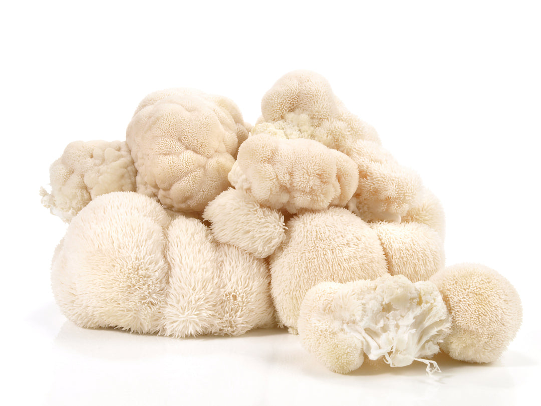 What Does Lion's Mane Do To The Brain?