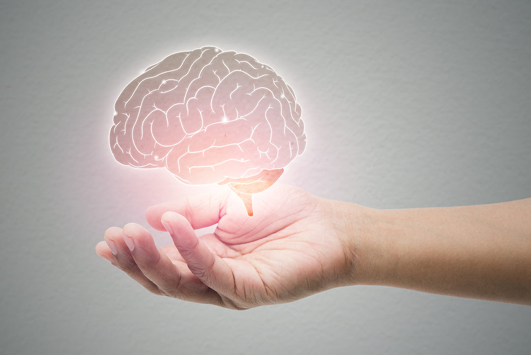 What do psychobiotics do?