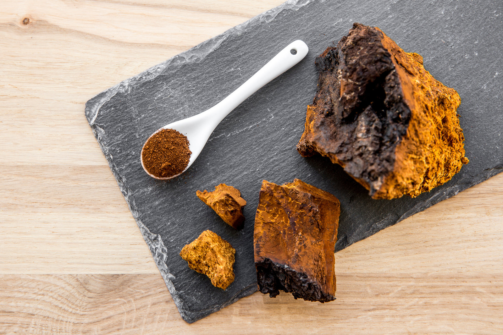 Does Chaga Get You High?