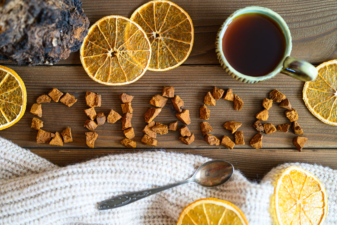 What is Chaga Good For?