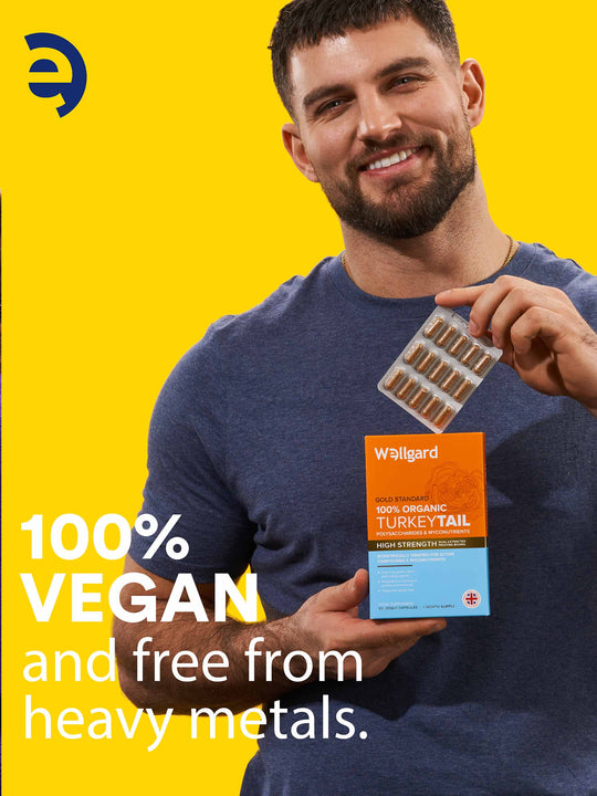 Organic Turkey Tail Capsules