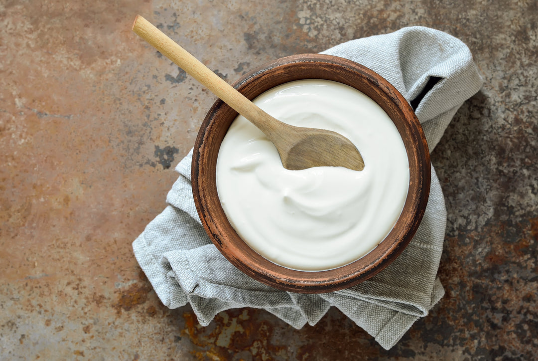 What Foods Contain Lactobacillus Reuteri?