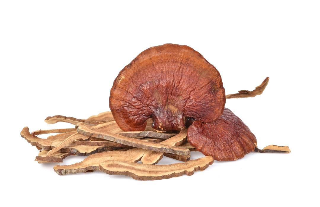 What Is Reishi Good For?