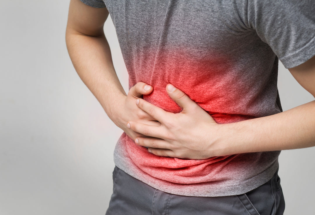 What Are The Signs Of A Healthy Gut?