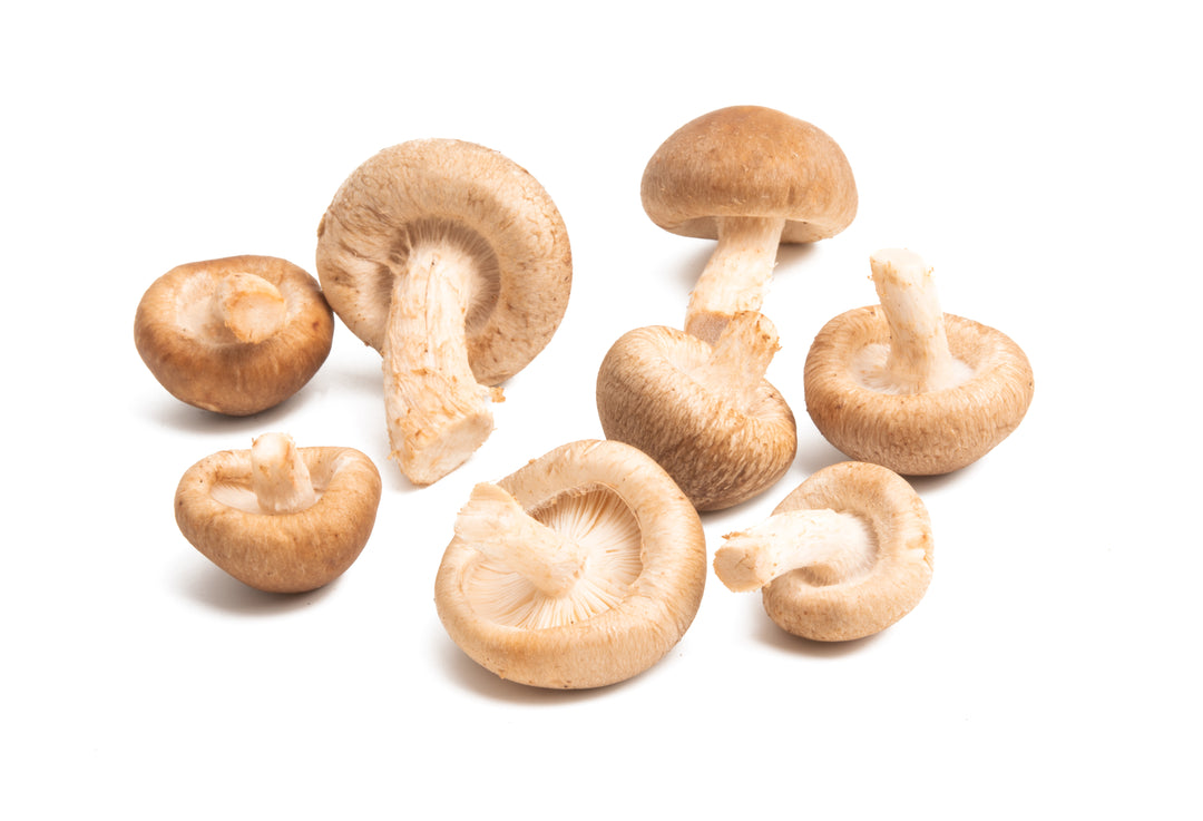 What Is Shiitake Good For?