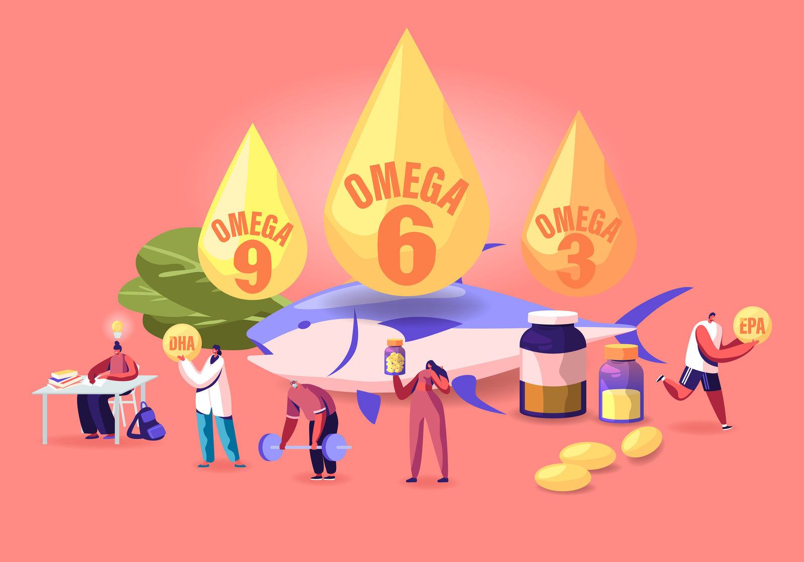 What Are The Differences Between Omega-3, 6 And 9?