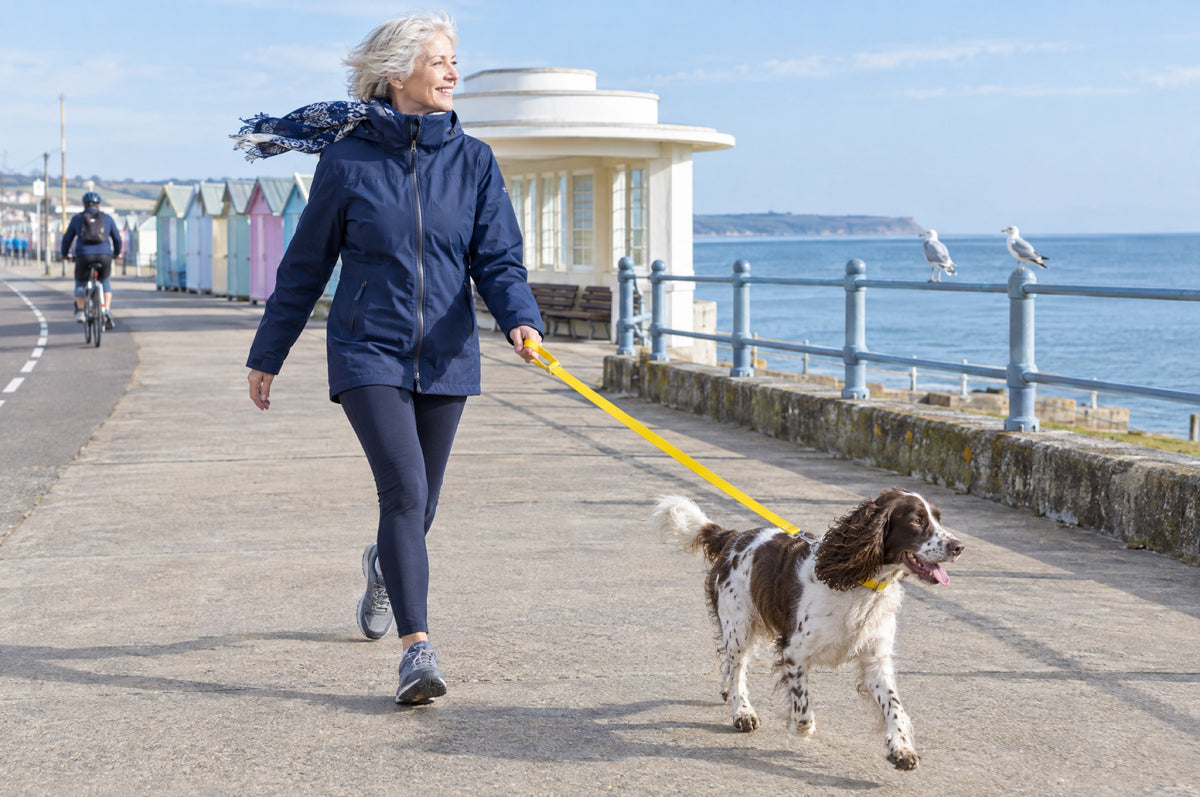 A silver-haired woman walks a spaniel on a yellow lead along a sunny seaside promenade.