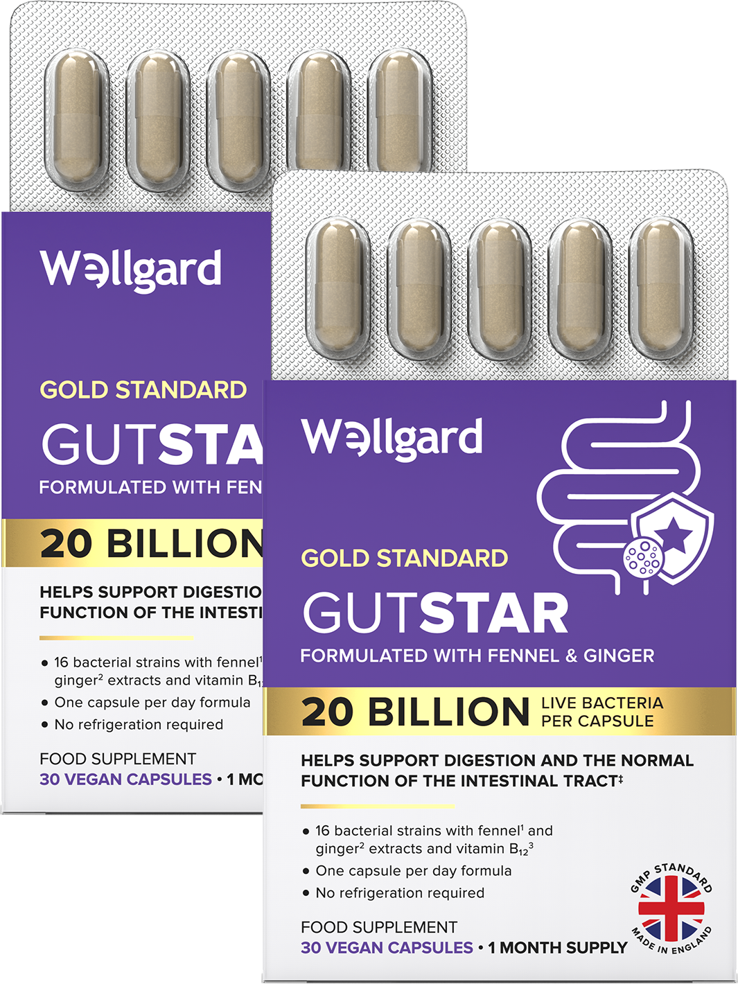 Gutstar 20 Billion CFU Probiotics For Gut Health