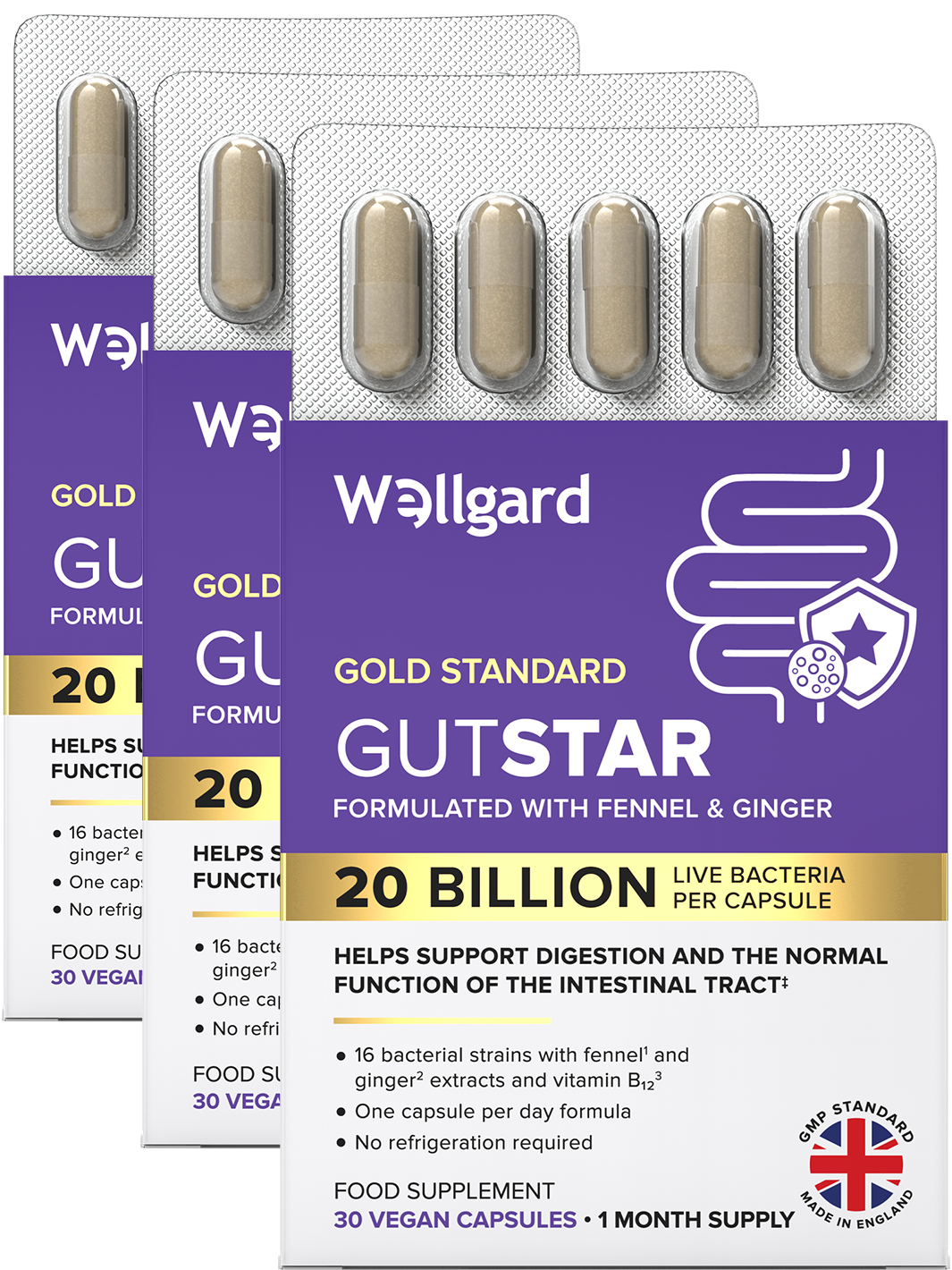 Gutstar 20 Billion CFU Probiotics For Gut Health