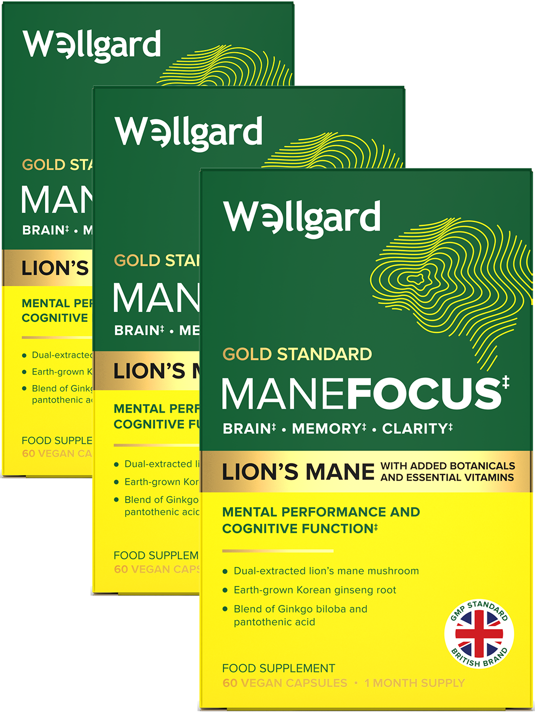 Manefocus, Lions Mane for Brain, Memory & Focus