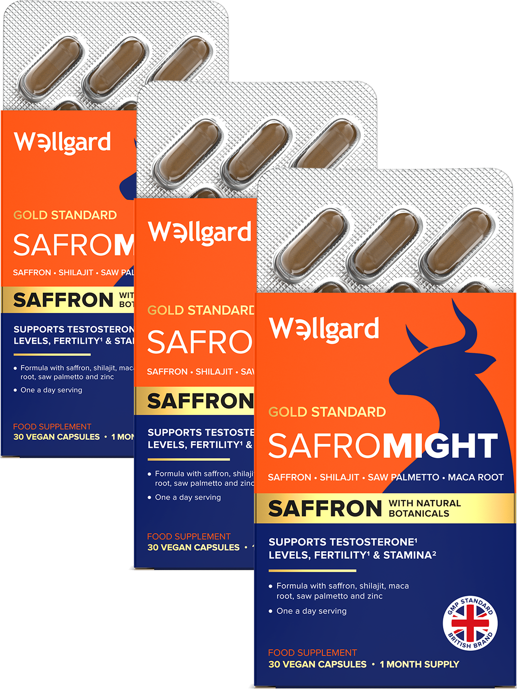Wellgard Safromight for Men