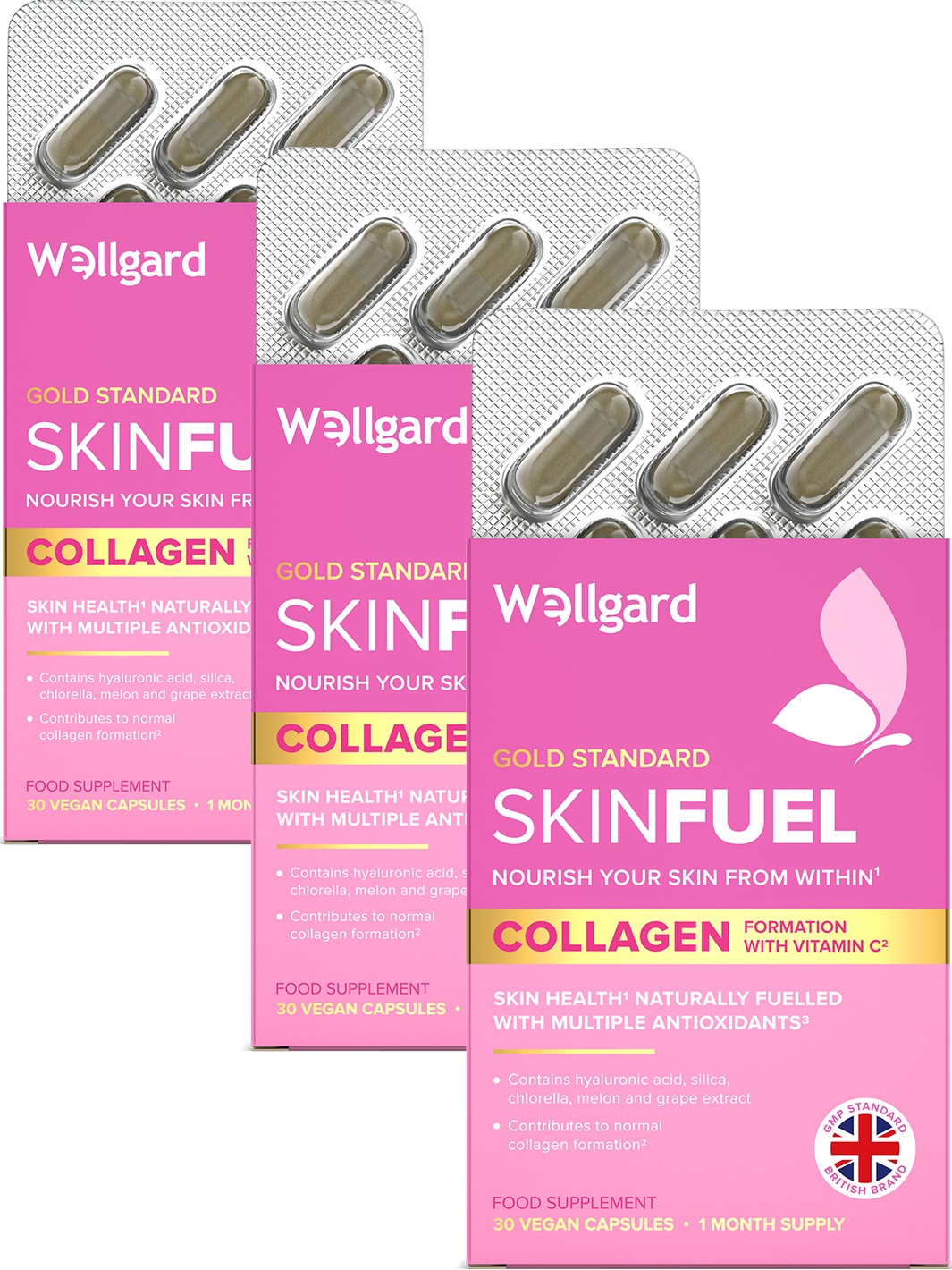 Wellgard Skin Fuel Deep Skin Nutrition