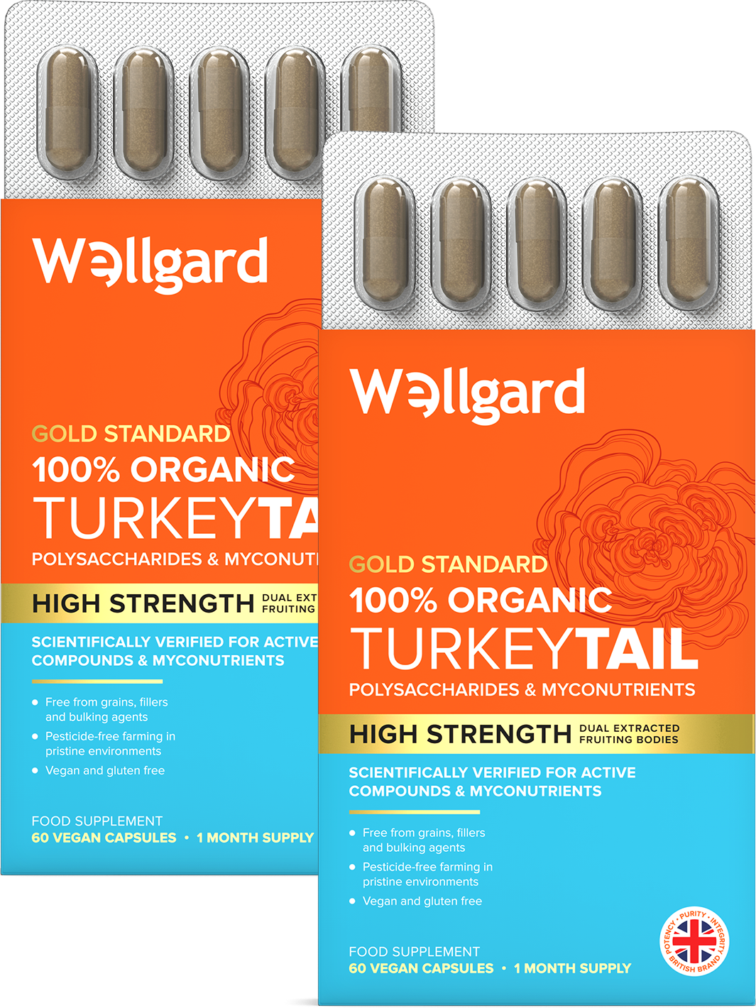 Organic Turkey Tail Capsules