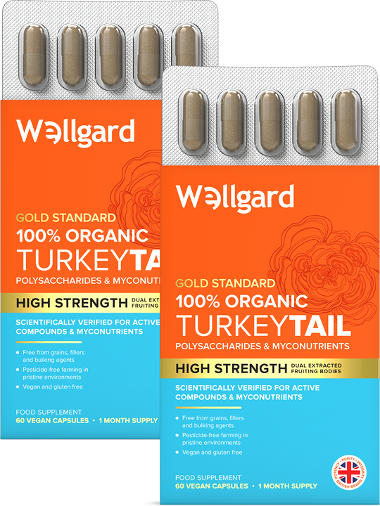 Organic Turkey Tail Capsules