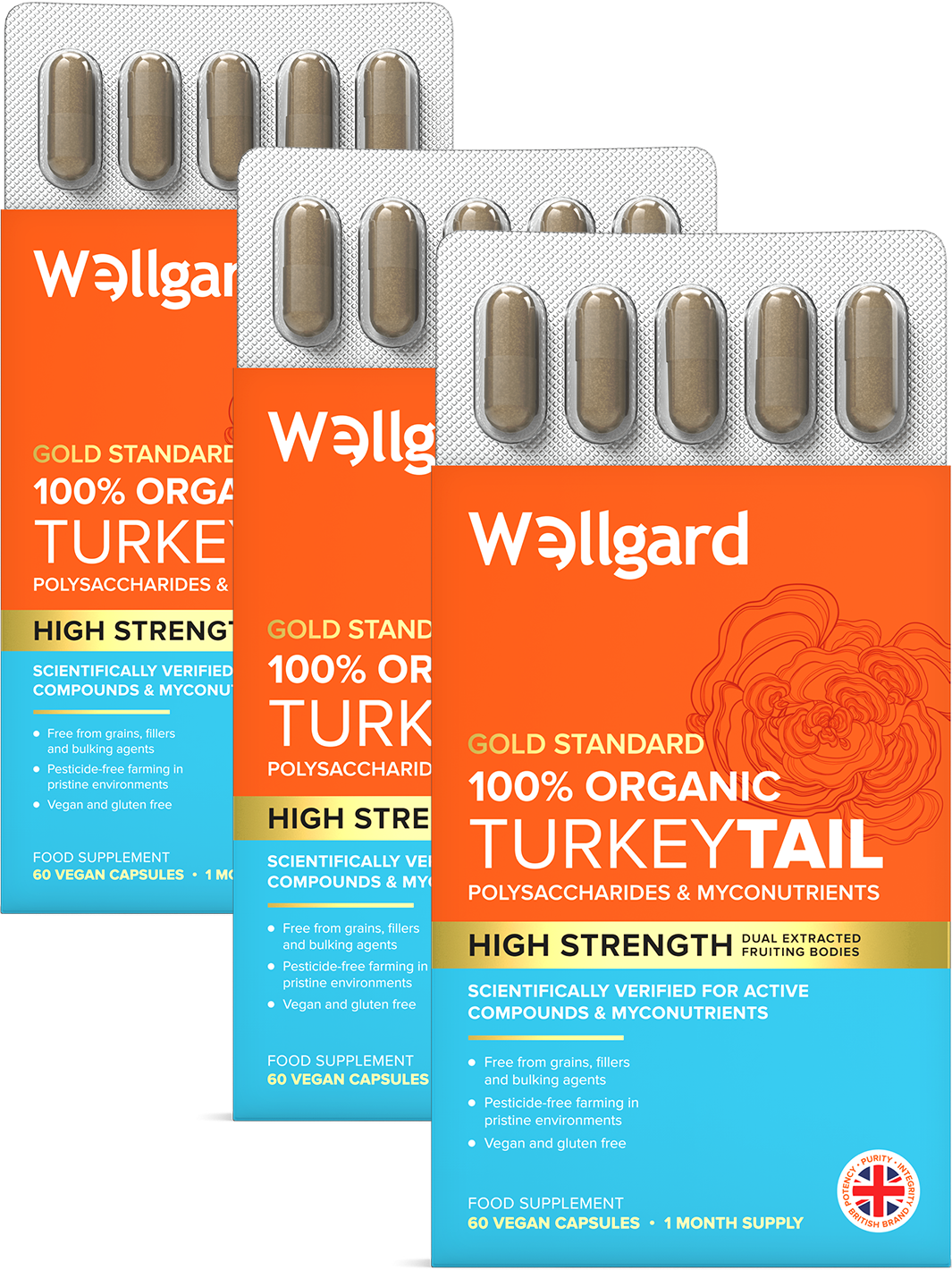 Organic Turkey Tail Capsules