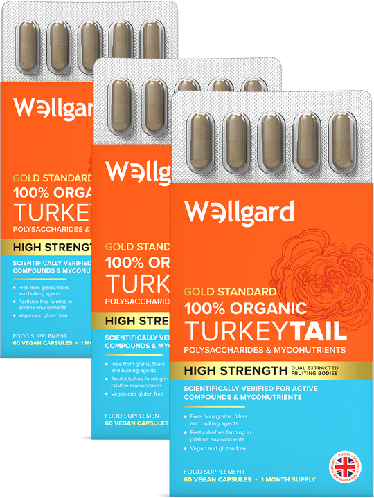 Organic Turkey Tail Capsules