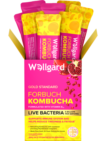 Kombucha Powder Sachets