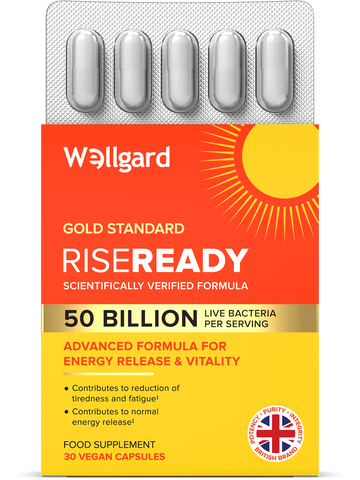 Rise Ready